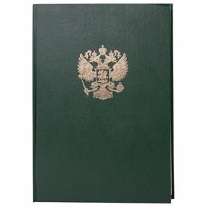 {{photo.Alt || photo.Description || 'Книга учета 96 л., клетка, твердая, бумвинил, офсет, герб, А4 (200х290 мм), BRAUBERG, зеленая, 130277'}}
