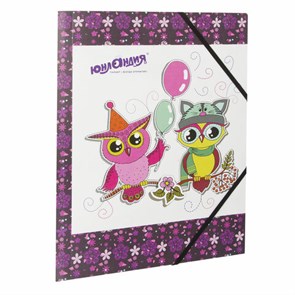 {{photo.Alt || photo.Description || 'Папка на резинках ЮНЛАНДИЯ &quot;Умные совы&quot;, А4, цветная печать, до 300 листов, 500 мкм, 228048'}}