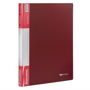 {{photo.Alt || photo.Description || 'Папка 40 вкладышей BRAUBERG стандарт, красная, 0,7 мм, 221602'}}