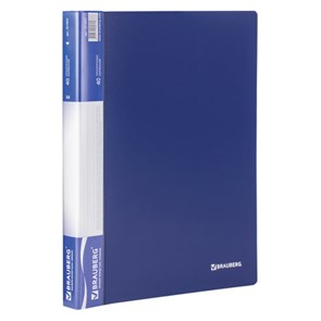 {{photo.Alt || photo.Description || 'Папка 40 вкладышей BRAUBERG стандарт, синяя, 0,7 мм, 221603'}}