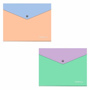 {{photo.Alt || photo.Description || 'Папка-конверт с кнопкой ERICH KRAUSE &quot;Matt Pastel Bloom&quot;, А5+, до 120 л., с карманом, ассорти, 0,18 мм, 61150'}}