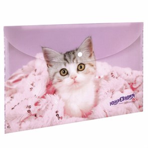 {{photo.Alt || photo.Description || 'Папка-конверт с кнопкой ЮНЛАНДИЯ &quot;Котенок&quot;, А4, 160 мкм, до 100 листов, цветная печать, 228049'}}