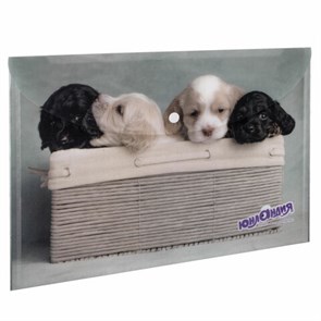 {{photo.Alt || photo.Description || 'Папка-конверт с кнопкой ЮНЛАНДИЯ &quot;Щенки&quot;, А4, 160 мкм, до 100 листов, цветная печать, 228050'}}