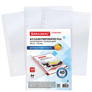 {{photo.Alt || photo.Description || 'Папки-файлы перфорированные А4 BRAUBERG &quot;STANDARD&quot;, КОМПЛЕКТ 100 шт., матовые, 40 мкм, 229660'}}