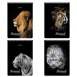 {{photo.Alt || photo.Description || 'Блокнот А5 (146х206 мм), 80 л., гребень, картон, жесткая подложка, клетка, BRAUBERG, &quot;Хищники&quot;, 114385'}}