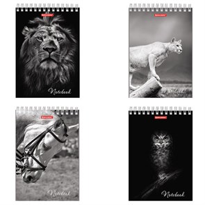 {{photo.Alt || photo.Description || 'Блокнот А5 146х205 мм, 60 л., гребень, картон, жесткая подложка, клетка, BRAUBERG, &quot;Животные&quot;, 129810'}}