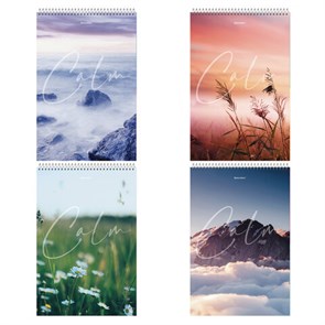 {{photo.Alt || photo.Description || 'Блокнот БОЛЬШОЙ ФОРМАТ А4 198х297 мм, 80 л., гребень, жесткая подложка, клетка, BRAUBERG, &quot;Calm&quot;, 114357'}}