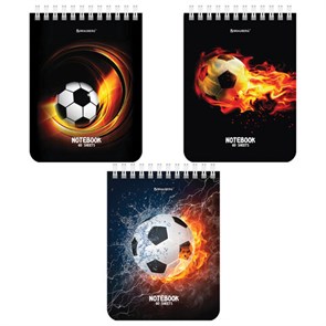 {{photo.Alt || photo.Description || 'Блокнот МАЛЫЙ ФОРМАТ А6 108х145 мм, 40 л., гребень, картон, клетка, BRAUBERG, &quot;Футбол&quot;, 114390'}}