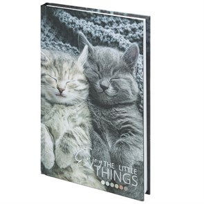 {{photo.Alt || photo.Description || 'Блокнот А5 (134х206 мм), 80 л., твёрдый, клетка, STAFF, &quot;Котики&quot;, 114413'}}