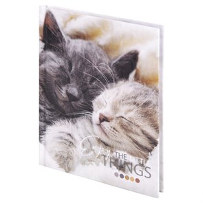 {{photo.Alt || photo.Description || 'Блокнот МАЛЫЙ ФОРМАТ (110х147 мм), А6, 80 л., твёрдый, клетка, STAFF, &quot;Котики&quot;, 114439'}}