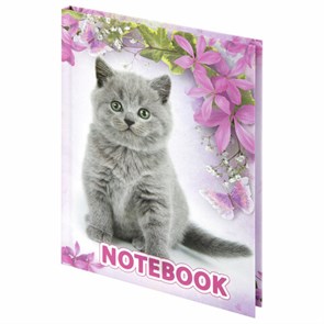 {{photo.Alt || photo.Description || 'Блокнот МАЛЫЙ ФОРМАТ 110х147 мм, А6, 80 л., твердый, клетка, выборочный лак, BRAUBERG, &quot;Котята&quot;, 122192'}}