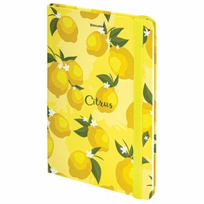 {{photo.Alt || photo.Description || 'Блокнот с резинкой без линовки 96 л., А5 (145х203 мм), твердая обложка, BRAUBERG, &quot;Lemons&quot;, 113727'}}