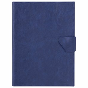 {{photo.Alt || photo.Description || 'Папка-органайзер семейная для 4-х комплектов документов, формат А4, экокожа, синяя, BRAUBERG, 238206'}}