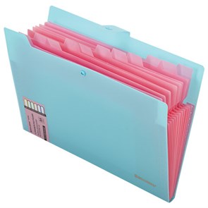 {{photo.Alt || photo.Description || 'Папка-органайзер на кнопке 12 отделений, BRAUBERG &quot;Extra&quot;, А4, голубая с розовым, 271932'}}