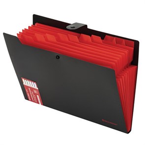 {{photo.Alt || photo.Description || 'Папка-органайзер на кнопке 12 отделений, BRAUBERG &quot;Extra&quot;, А4, черная с красным, 271934'}}