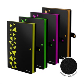 {{photo.Alt || photo.Description || 'Папка-органайзер на кнопке 4 отделения, ERICH KRAUSE &quot;Matt Accent&quot;, 600 мкм, до 150 л, А4, ассорти, 61210'}}