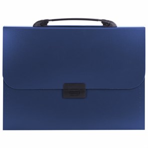 {{photo.Alt || photo.Description || 'Папка-портфель пластиковая BRAUBERG &quot;Energy&quot; А4 (330х256х32 мм), 7 отделений, синяя, 222572'}}