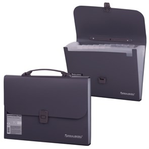 {{photo.Alt || photo.Description || 'Папка-портфель пластиковая BRAUBERG А4 (327х254х30 мм), 13 отделений, серая, 221438'}}