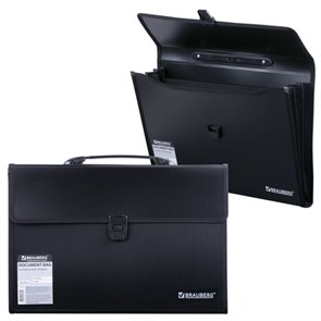 {{photo.Alt || photo.Description || 'Папка-портфель пластиковая BRAUBERG А4+ (390х260х40 мм), 3 отделения, фактура линейная, черная, 221389'}}