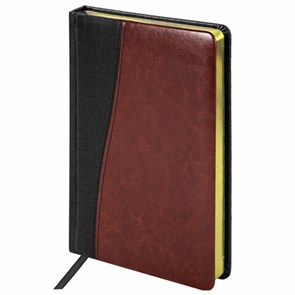 {{photo.Alt || photo.Description || 'Ежедневник недатированный А5 138х213 мм BRAUBERG &quot;Cayman&quot; под кожу, 160 л., черный/темно-коричневый, 123399'}}