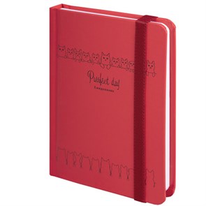 {{photo.Alt || photo.Description || 'Ежедневник недатированный с резинкой, МАЛЫЙ ФОРМАТ А6 (109х148 мм), BRAUBERG, 128 л., &quot;Котики&quot;, 114571'}}