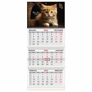 {{photo.Alt || photo.Description || 'Календарь квартальный на 2025 г., 3 блока, 3 гребня, с бегунком, офсет, BRAUBERG, &quot;Котенок&quot;, 116106'}}