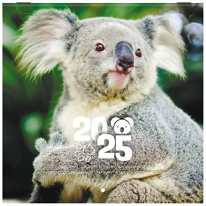 {{photo.Alt || photo.Description || 'Календарь настенный перекидной на 2025 г., BRAUBERG, 12 листов, 22,5х22,5 см, МИНИ, &quot;Дикие животные&quot;, 116179'}}