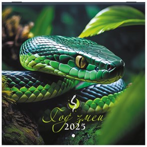 {{photo.Alt || photo.Description || 'Календарь настенный перекидной на 2025 г., BRAUBERG, 12 листов, 22,5х22,5 см, МИНИ, &quot;Символ года&quot;, 116183'}}