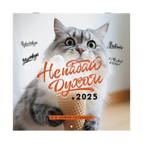 {{photo.Alt || photo.Description || 'Календарь настенный перекидной на 2025 г., BRAUBERG, 12 листов, 29х29 см, &quot;Не падай духом&quot;, 116163'}}