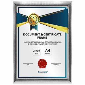 {{photo.Alt || photo.Description || 'Рамка 21х30 см небьющаяся, багет 15 мм пластик, BRAUBERG &quot;Respect&quot;, серебристая, 391271'}}