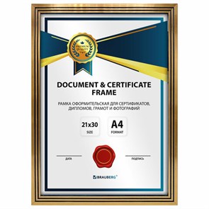 {{photo.Alt || photo.Description || 'Рамка 21х30 см небьющаяся, багет 15 мм, пластик, BRAUBERG &quot;Respect&quot;, бронзовая, 391270'}}