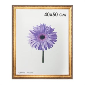 {{photo.Alt || photo.Description || 'Рамка премиум 40х50 см, пластик, багет 33 мм, &quot;Dorothy&quot;, золото, 0023-16-4274'}}