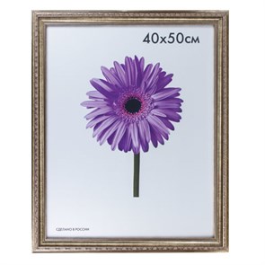 {{photo.Alt || photo.Description || 'Рамка премиум 40х50 см, пластик, багет 33 мм, &quot;Dorothy&quot;, серебро, 0023-16-3330'}}