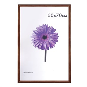 {{photo.Alt || photo.Description || 'Рамка премиум 50х70 см, дерево, багет 26 мм, &quot;Berta&quot;, орех, 0006-50-0006'}}