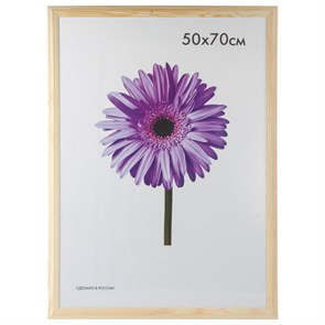 {{photo.Alt || photo.Description || 'Рамка премиум 50х70 см, дерево, багет 26 мм, &quot;Linda&quot;, светлое дерево, 0065-50-0000'}}