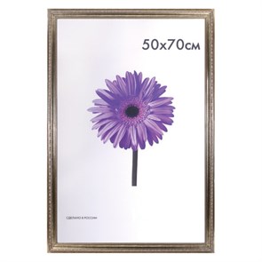 {{photo.Alt || photo.Description || 'Рамка премиум 50х70 см, пластик, багет 33 мм, &quot;Dorothy&quot;, серебро, 0023-50-3330'}}