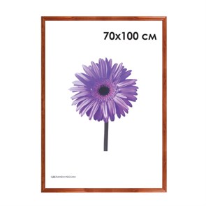 {{photo.Alt || photo.Description || 'Рамка премиум 70х100 см, дерево, багет 26 мм, &quot;Linda&quot;, орех, 0065-70-0006'}}