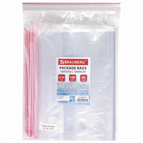 {{photo.Alt || photo.Description || 'Пакеты с замком ZIP LOCK &quot;зиплок&quot;, комплект 100 шт., 250х300 мм, ПВД, толщина 40 микрон, BRAUBERG, 606217'}}