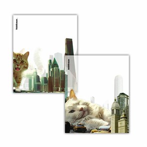 {{photo.Alt || photo.Description || 'Обложки ПП для тетрадей и дневников ERICH KRAUSE &quot;Big City Cats&quot;, КОМПЛЕКТ 12 шт., 80 мкм, 212х347 мм, 63508'}}