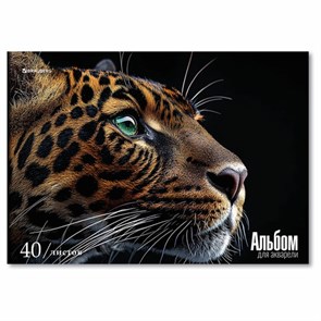 {{photo.Alt || photo.Description || 'Альбом для акварели А4, 40 л., бумага 200 г/м2, склейка, обложка картон, BRAUBERG, &quot;Леопард&quot;, 107130'}}