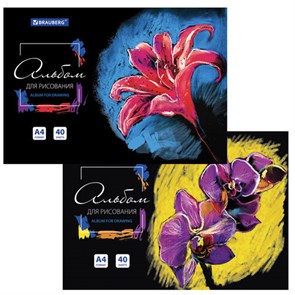 {{photo.Alt || photo.Description || 'Альбом для рисования А4 40 л., склейка, обложка картон, подложка, BRAUBERG, 205х290 мм, &quot;Blossom&quot;, 106330'}}