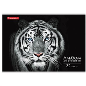 {{photo.Alt || photo.Description || 'Альбом для рисования А4, 32 л., скоба, обложка картон, BRAUBERG, 202х285 мм, &quot;Тигр&quot; (1 вид), 105610'}}