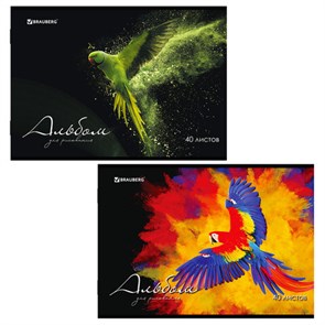 {{photo.Alt || photo.Description || 'Альбом для рисования А4, 40 л., скоба, обложка картон, BRAUBERG, 205х290 мм, &quot;Полёт&quot; (2 вида), 106707'}}