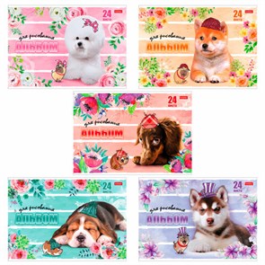 {{photo.Alt || photo.Description || 'Альбом для рисования, А4, 24 листа, скоба, обложка картон, HATBER, 205х290 мм, &quot;Любимцы&quot;, 004051, 24А4В'}}