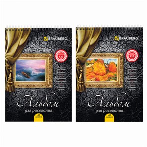 {{photo.Alt || photo.Description || 'Альбом для рисования, А4, 40 листов, гребень, выборочный лак, подложка, 120 г/м2, BRAUBERG, 205х290 мм, &quot;Картина&quot; (2 вида), 102834'}}