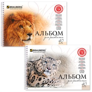 {{photo.Alt || photo.Description || 'Альбом для рисования, А4, 40 листов, гребень, обложка картон, BRAUBERG, 205х290 мм, &quot;Благородные кошки&quot; (2 вида), 102831'}}