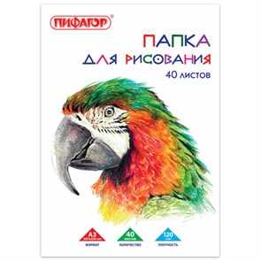 {{photo.Alt || photo.Description || 'Папка для рисования БОЛЬШОГО ФОРМАТА А3, 40 л., 120 г/м2, ПИФАГОР, 297х420 мм, &quot;Попугай&quot;, 129219'}}
