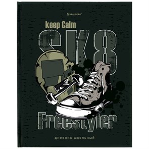 {{photo.Alt || photo.Description || 'Дневник 5-11 класс 48 л., твердый, BRAUBERG, глянцевая ламинация, с подсказом, &quot;Freestyle&quot;, 106395'}}