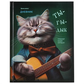 {{photo.Alt || photo.Description || 'Дневник 5-11 класс 48 л., твердый, BRAUBERG, глянцевая ламинация, с подсказом, &quot;Ты-Гы-Дык&quot;, 107184'}}