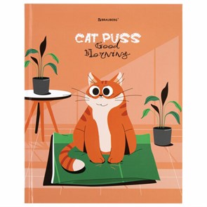 {{photo.Alt || photo.Description || 'Дневник 1-11 класс 40 л., твердый, BRAUBERG, глянцевая ламинация, &quot;Cute cat&quot;, 106852'}}